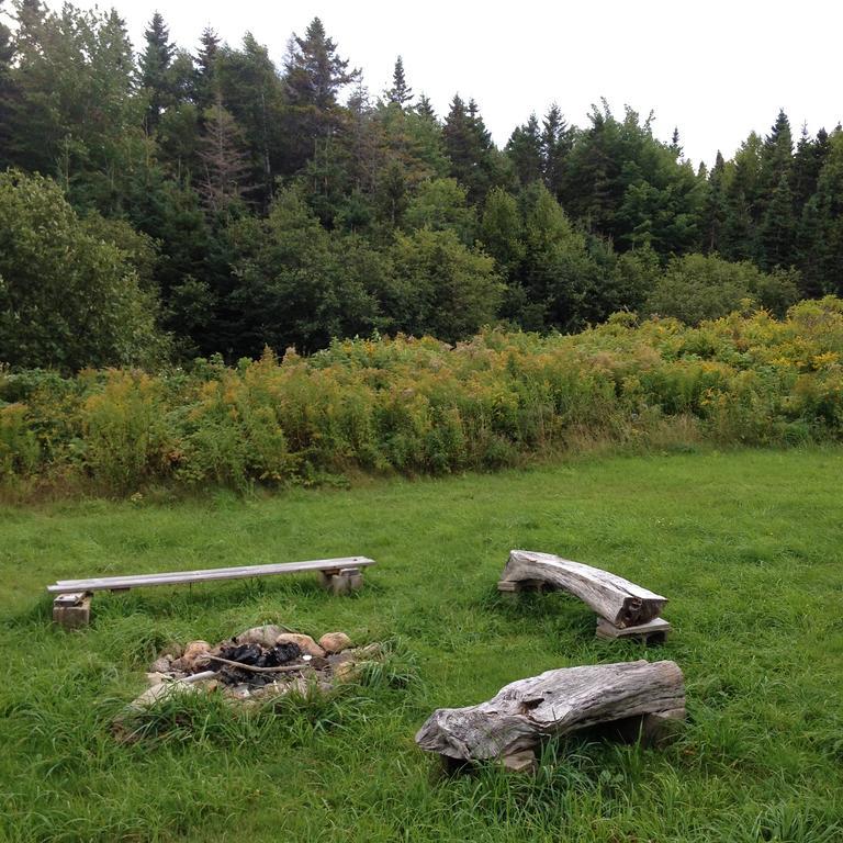 Indian Brook Breton Cove Farmhouse旅馆 外观 照片