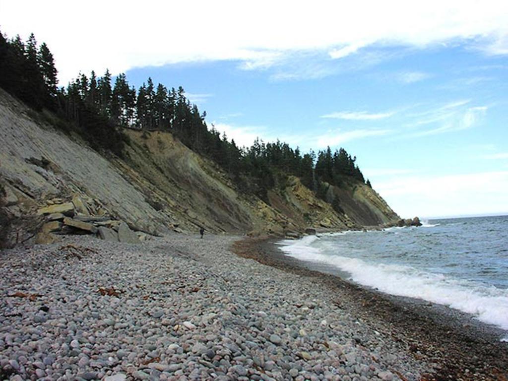 Indian Brook Breton Cove Farmhouse旅馆 外观 照片