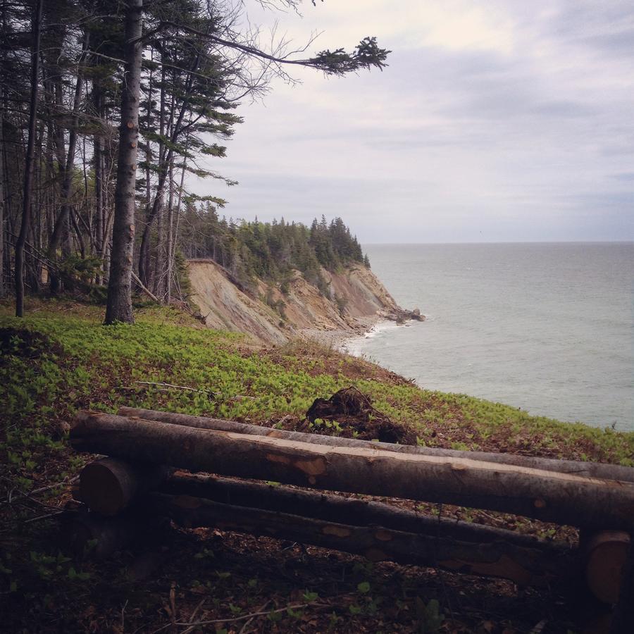 Indian Brook Breton Cove Farmhouse旅馆 外观 照片