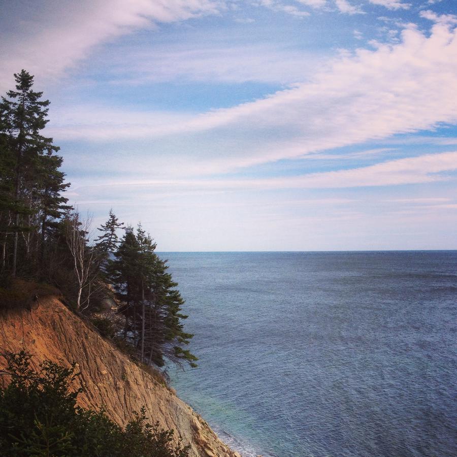 Indian Brook Breton Cove Farmhouse旅馆 外观 照片